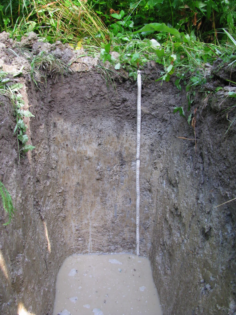 Рисунок 3. Дерново-подзолисто-глеевая почва (фото авторов)
