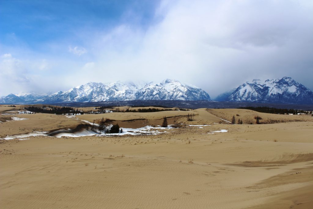 Чарские пески, памятник природы регионального значения. Фото Е.В. Бутько