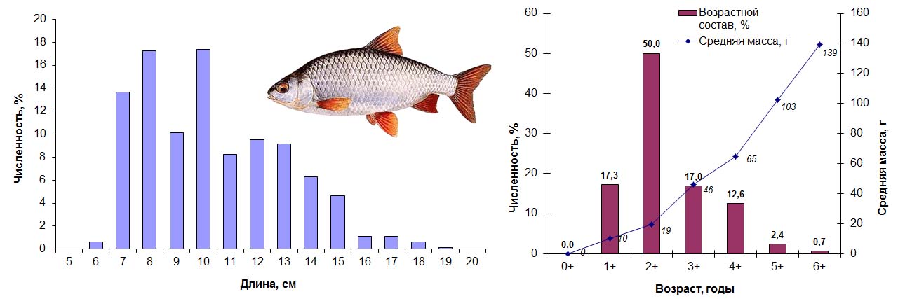Численность рыб. Возрастная структура рыб. Структура популяции рыб. Динамика численности популяции рыб. Промысловая смертность рыб.