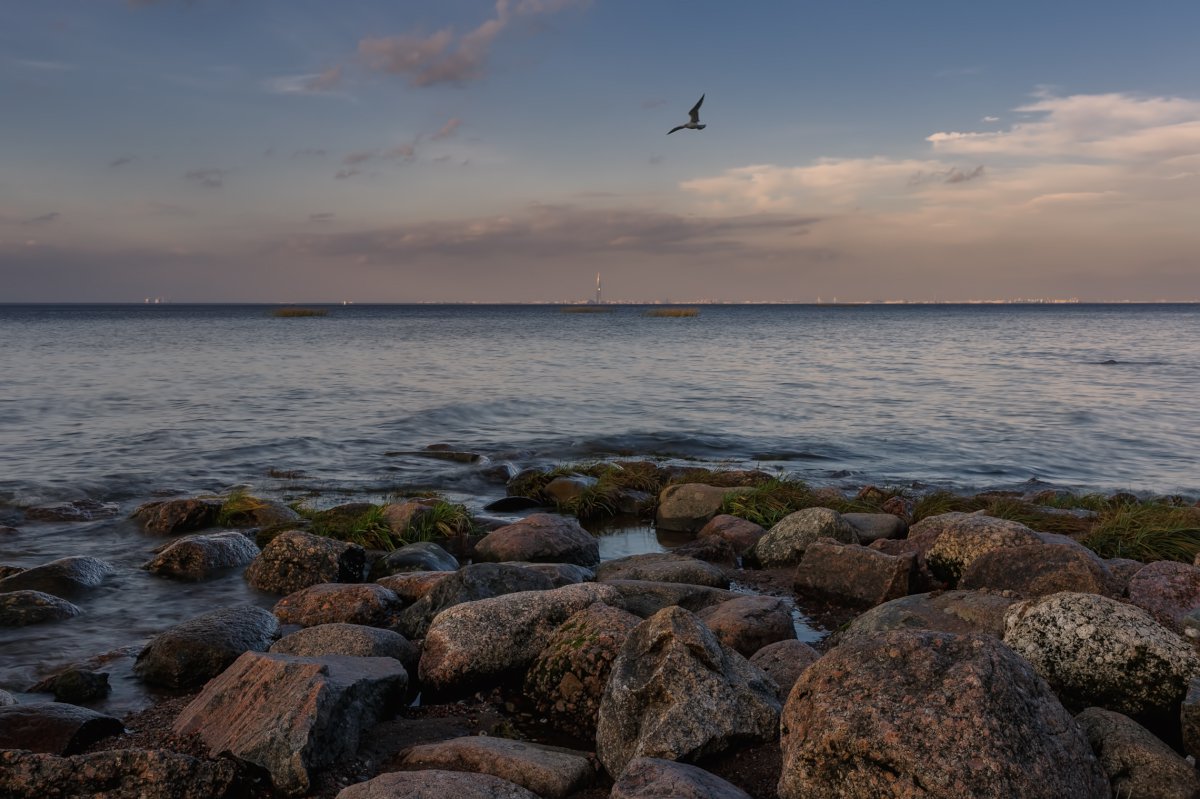 Балтийский залив в Питере
